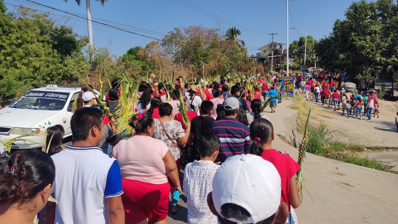 Comerciantes Reportan Buenas Ventas De Palmitas En El Domingo De Ramos